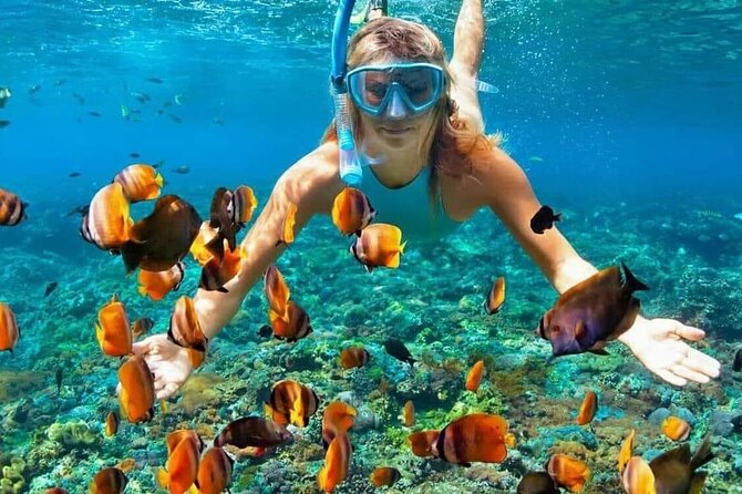 Day Trip: Nusa Penida Snorkling - A sea-first introduction to Nusa Penida