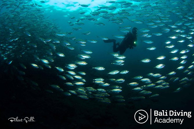 Day Trip Snorkeling in Tulamben - Explore Liberty Wreck (pick up in South Bali) - Why Tulamben is worth the long ride from South Bali