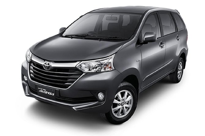 Departure Transfer from Seminyak, Kerobokan to Bali Airport (DPS) - Private transport, luggage, and group size