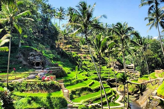 Design Your Own Bali Tour - Transport, comfort, and group size