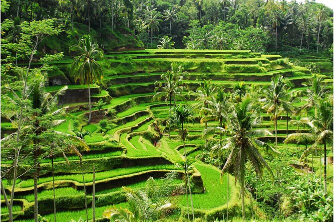 Discover Ubud: 2 Days Ubud Private Tour - Why this two-day Ubud route works