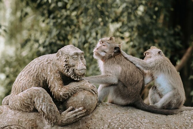 Discover Ubud: 2 Days Ubud Private Tour - Monkey Forest brings nature into central Ubud