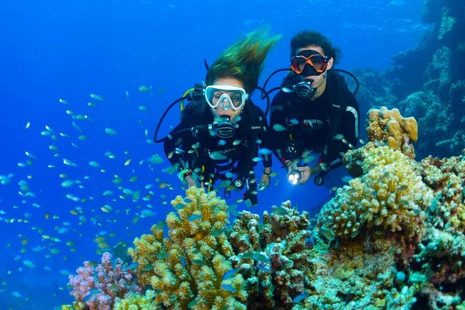 Dive at Tulamben Bali USS Liberty Ship Wreck - Two underwater sessions around the Liberty wreck