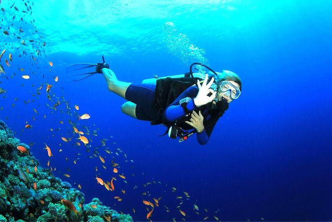 Dive at Tulamben Bali USS Liberty Ship Wreck - Planning tips for the day