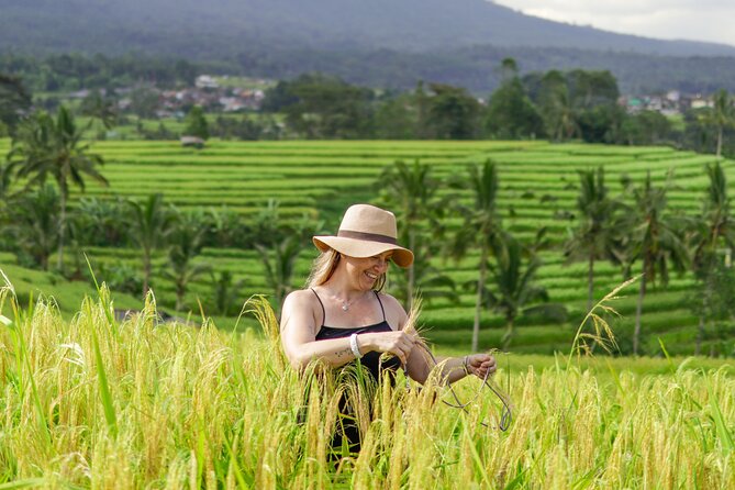 Exquisite UNESCO World Heritage Sites in Bali - The $65 price and what it covers
