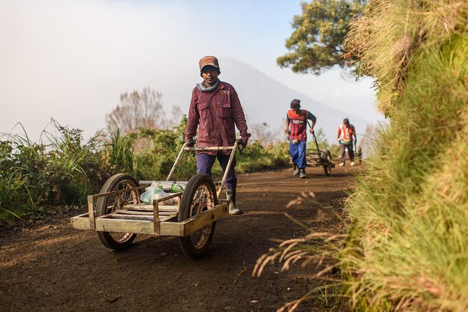 From Bali : Bromo & Kawah Ijen – 3-Day Adventure - Guides, drivers, and the small-group advantage