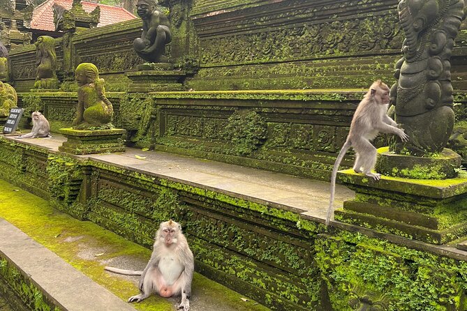 Full Day Best of Ubud Private Tour - Tegalalang Rice Terrace is the classic Ubud view