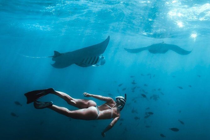 Full Day Nusa Penida Manta Point Snorkeling and West Island Tour - Why the manta-ray stop sets the tone
