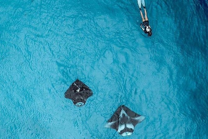 Full Day Nusa Penida Manta Point Snorkeling and West Island Tour - Angel’s Billabong brings the water back into view
