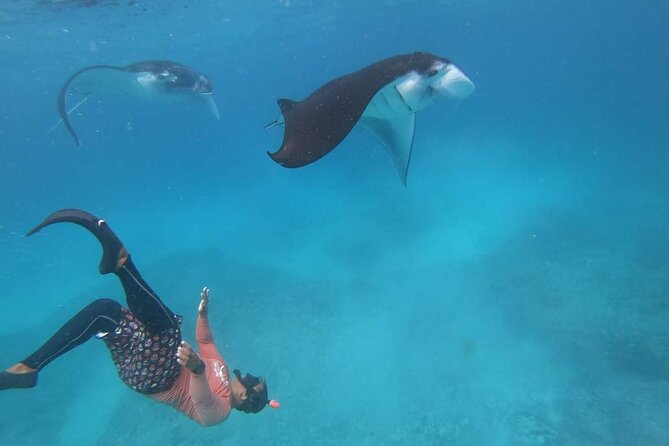 Full Day Nusa Penida Manta Point Snorkeling and West Island Tour - Is $43 a good value?