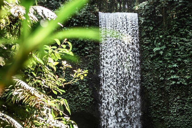 Full Day Private Tour All Inclusive Hidden Gems Bali Waterfall - What the private driver adds