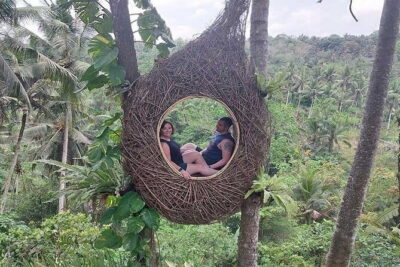 Full Day Private Tour from Tegenungan Waterfall to Tanah Lot