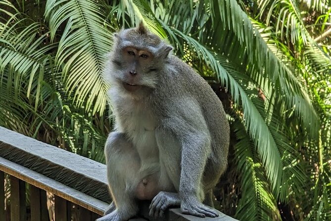 Full Day Private Tour to Ubud Waterfall and Tanah Lot Sunset - Indonesian lunch provides a needed pause