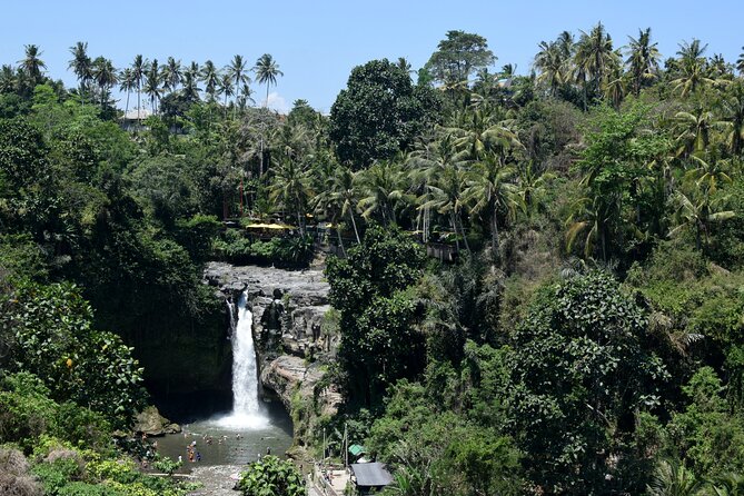 Full day Tour to Best of Ubud with jungle swing - The real cost of the $33.24 starting price