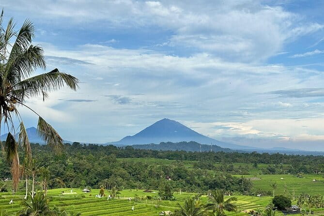 Full-day Ubud Private tour : Cultural Heritage - A big Ubud day from Seminyak