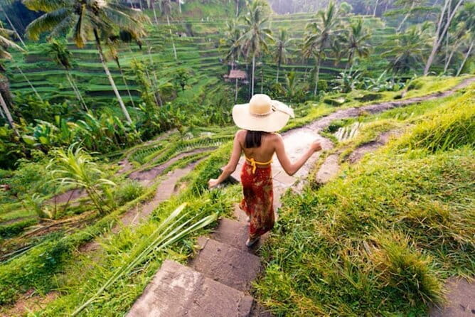Full-day Ubud Private tour : Cultural Heritage - Lunch, swings, and rice views at Uma Ceking
