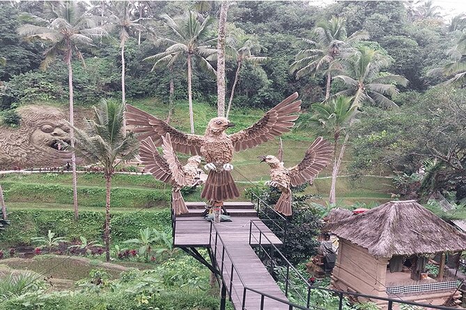 Full Day Ubud Tour - Happy Swing Bali and the photo factor