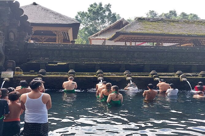 Full Day Ubud Tour - A brief Monkey Forest visit