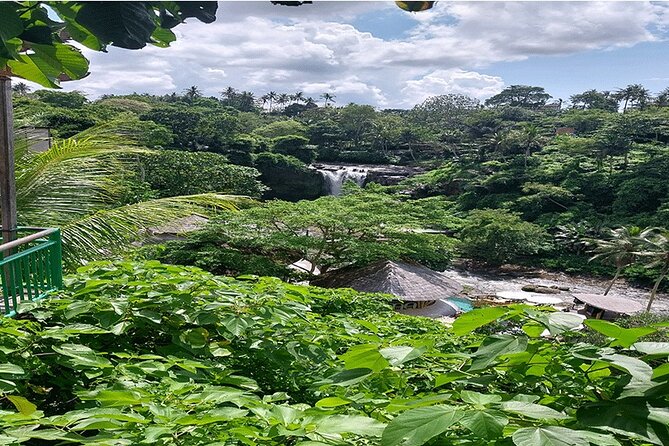 Full Day Ubud Tour - Tirta Empul and Bali’s sacred water