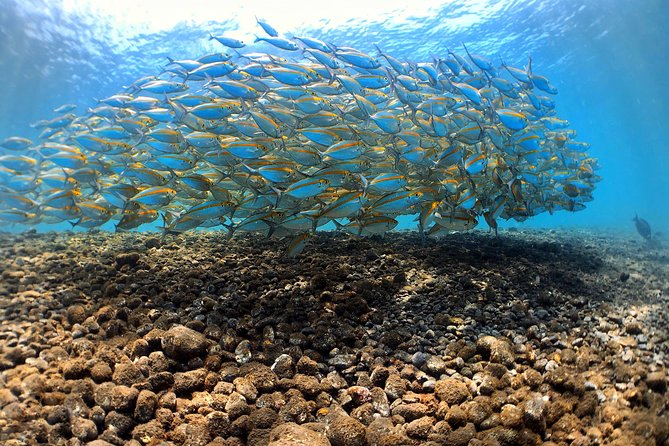 Fun Diving Tulamben Bali - For Certified Divers - The guides and the human side of the day