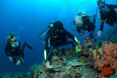 Fun Diving Tulamben Bali – For Certified Divers