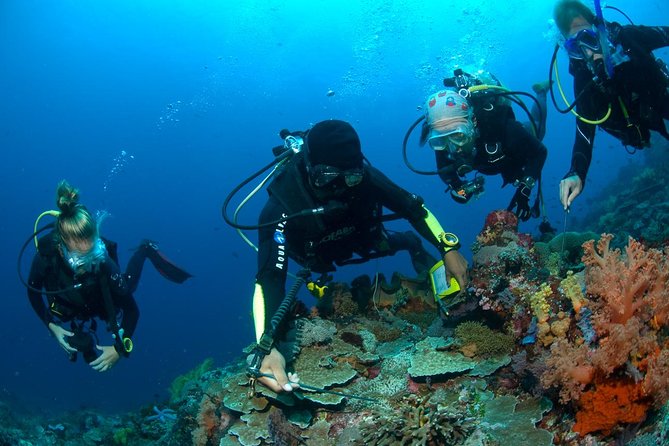 Fun Diving Tulamben Bali - For Certified Divers - Two sessions on the wreck, not a quick look