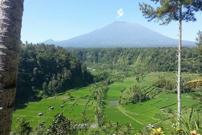 Gate Heaven Lempuyang Tirta Gangga East Bali Private Guided Tour - The long drive and what it means for your day