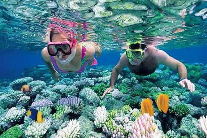 Gate Heaven Tirta Gangga With Snorkeling Private Guided Tour - Tirta Gangga and the detail you should confirm
