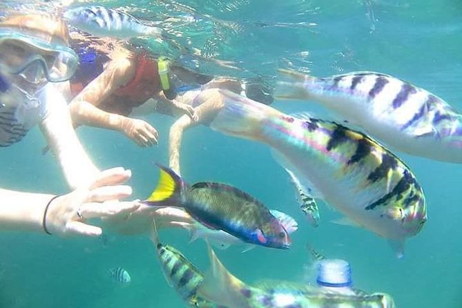 Gate Heaven Tirta Gangga With Snorkeling Private Guided Tour - Lunch beside the water after the morning swim