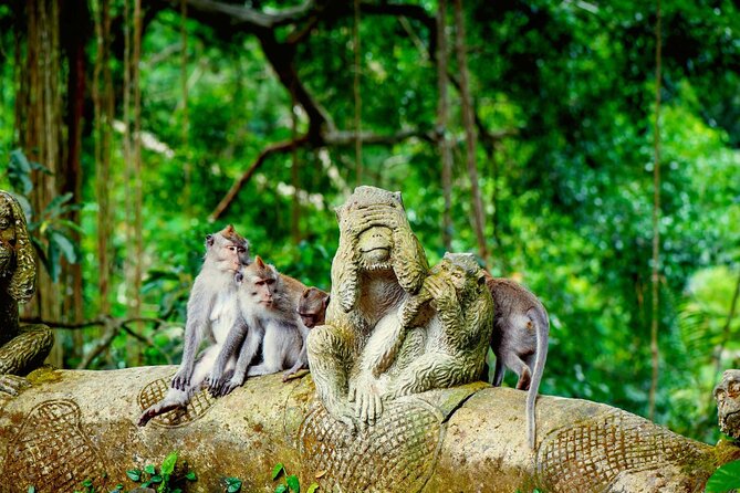Goa Gajah / Elephant Cave Temple And Ubud Tour - All Inclusive - Why this private Ubud day works