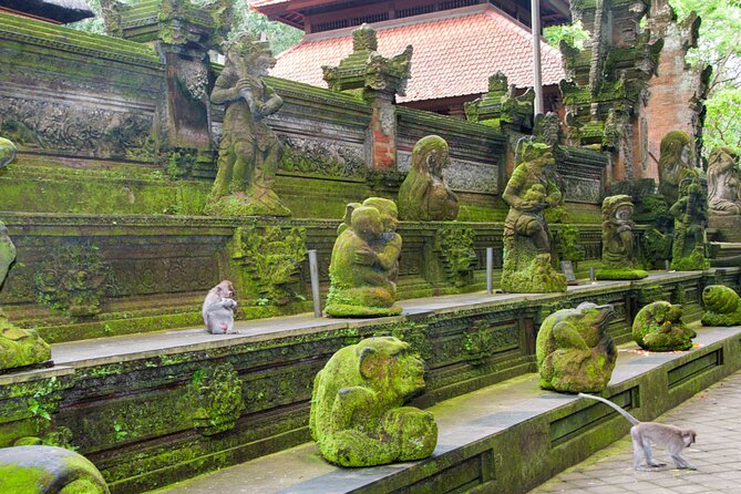 Goa Gajah / Elephant Cave Temple And Ubud Tour - All Inclusive - The d’Alas swing and jungle-view lunch
