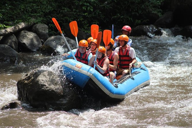 Green Bali Rafting Ticket And Transfer - Training, equipment, and the first step onto the river