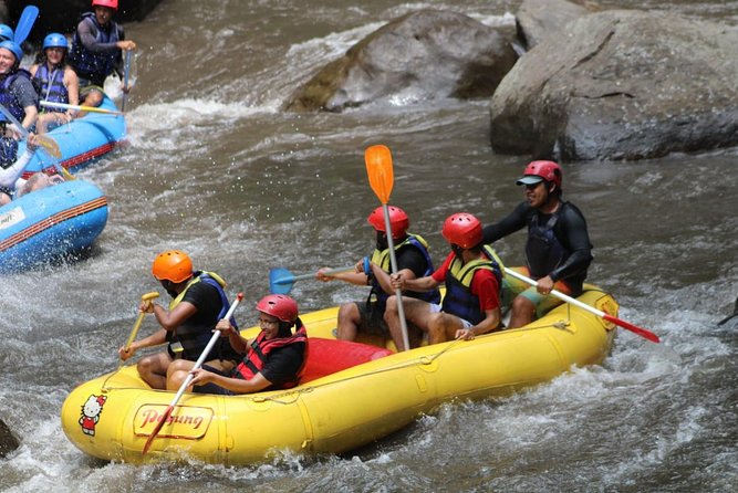 Green Bali Rafting Ticket And Transfer - The optional quad-biking add-on