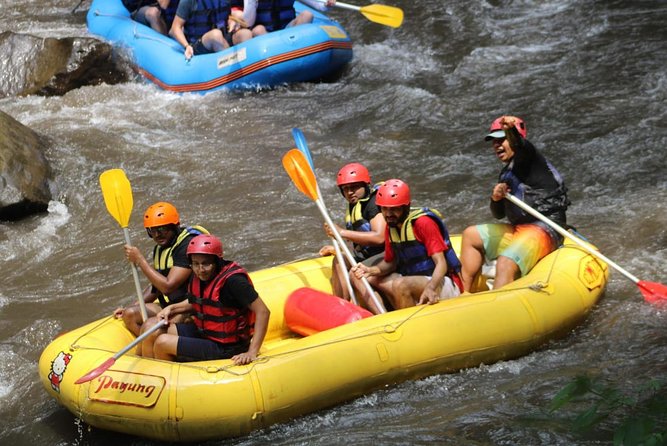 Green Bali Rafting Ticket And Transfer - Is $23.07 good value?