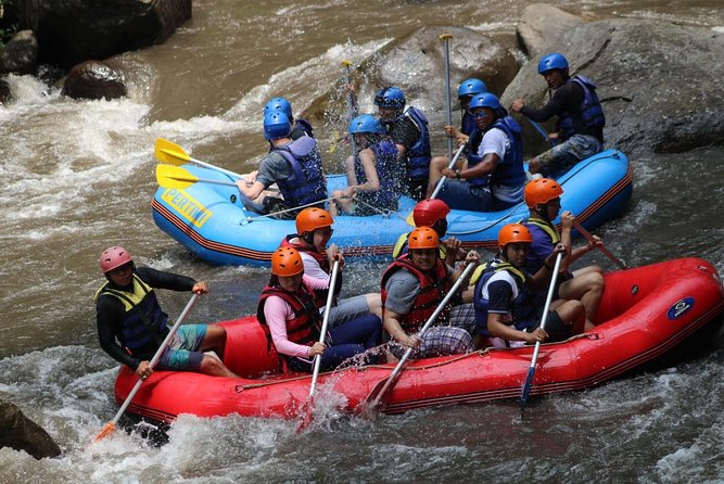 Green Bali Rafting Ticket And Transfer - Who will enjoy this Bali rafting trip?