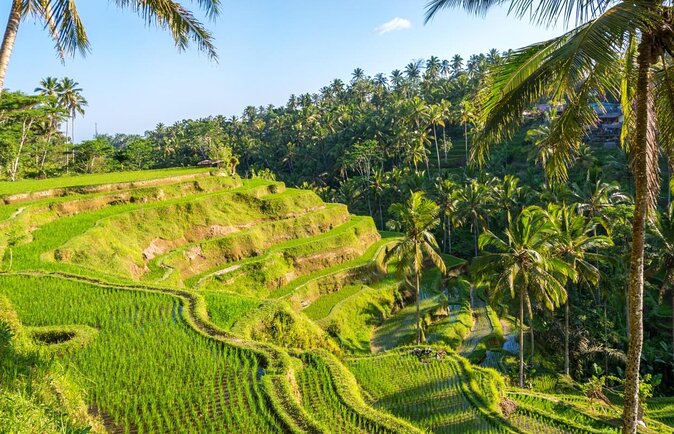 Half Day Bali Tour - Key points at a glance