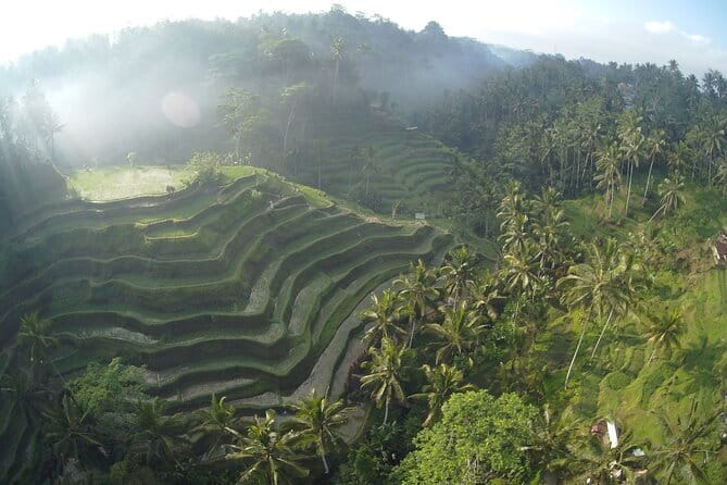 Hidden North Waterfall Bali All inclusive - A private vehicle changes the experience