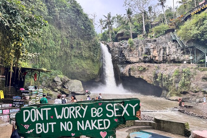 Hidden Ubud: Waterfalls & Sacred Temples - Art Villages: Wood, Silver, and Paint