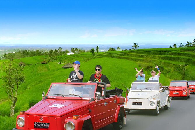 Jatiluwih VW Safari Bali Tour - Volkswagen Classic Car Trip - Taman Ayun and the royal side of Bali