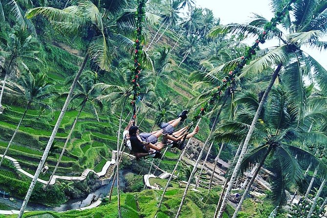 Jungle Swing & White Water Rafting Experience - An 8:30 am start from Seminyak