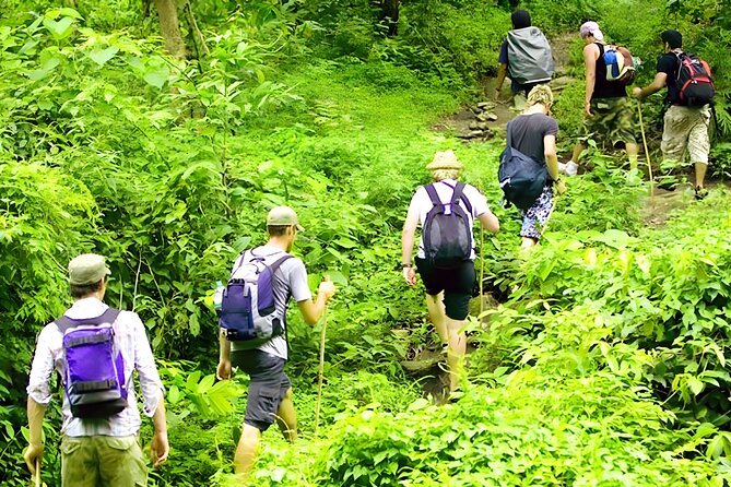 Jungle Trekking and Tamblingan Lake Canoeing in Bali Rainforest - Why Tamblingan makes a good morning escape