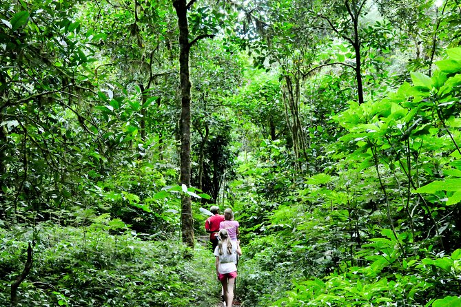 Jungle Trekking and Tamblingan Lake Canoeing in Bali Rainforest - What the private price includes