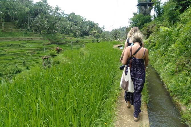 Magic Of Ubud Temple Swing And Waterfall Private Guided Tour - Tampaksiring village, tea, and a slower hour