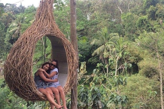 Magic Of Ubud Temple Swing And Waterfall Private Guided Tour - What the private vehicle adds
