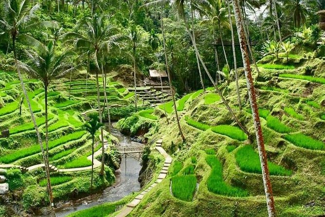 Magic Of Ubud Temple Swing And Waterfall Private Guided Tour - Happy Swing Bali and seven photo settings