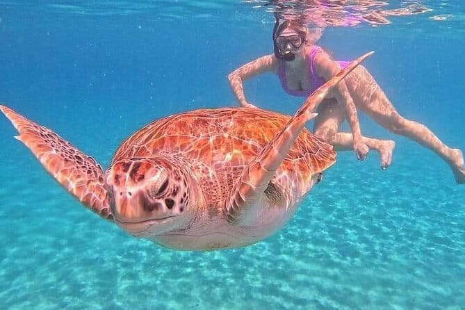 Monkey Bar and snorkling adventure at blue lagoon. - Blue Lagoon is the day’s main event