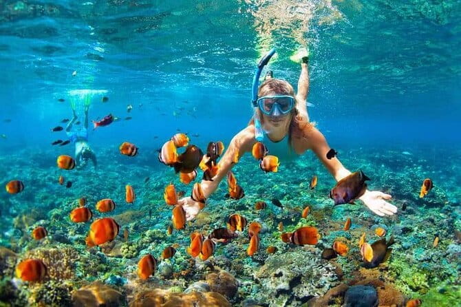 Monkey Bar and snorkling adventure at blue lagoon. - Who will enjoy this combination most