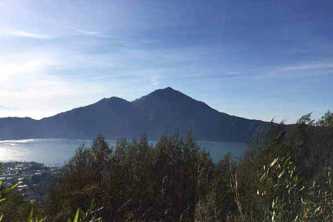 Mount Batur Sunrise Trekking & Hot Spring Tour - A family coffee plantation after the hike