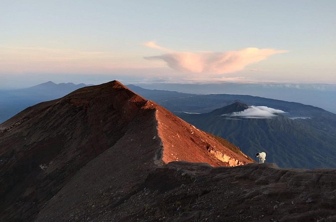 Mount Batur Sunrise Trekking, Hot Springs & Lunch at Restaurant - Should you book Mount Batur with hot springs and lunch?