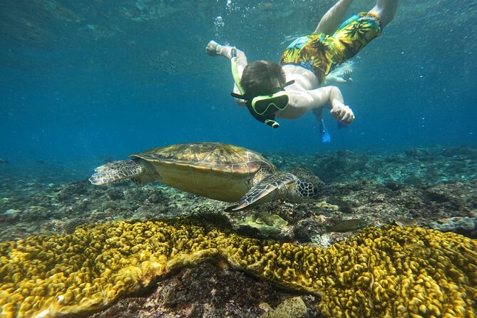 No:#1. Penida Island Tour And Snorkeling With Manta - How group size changes the experience